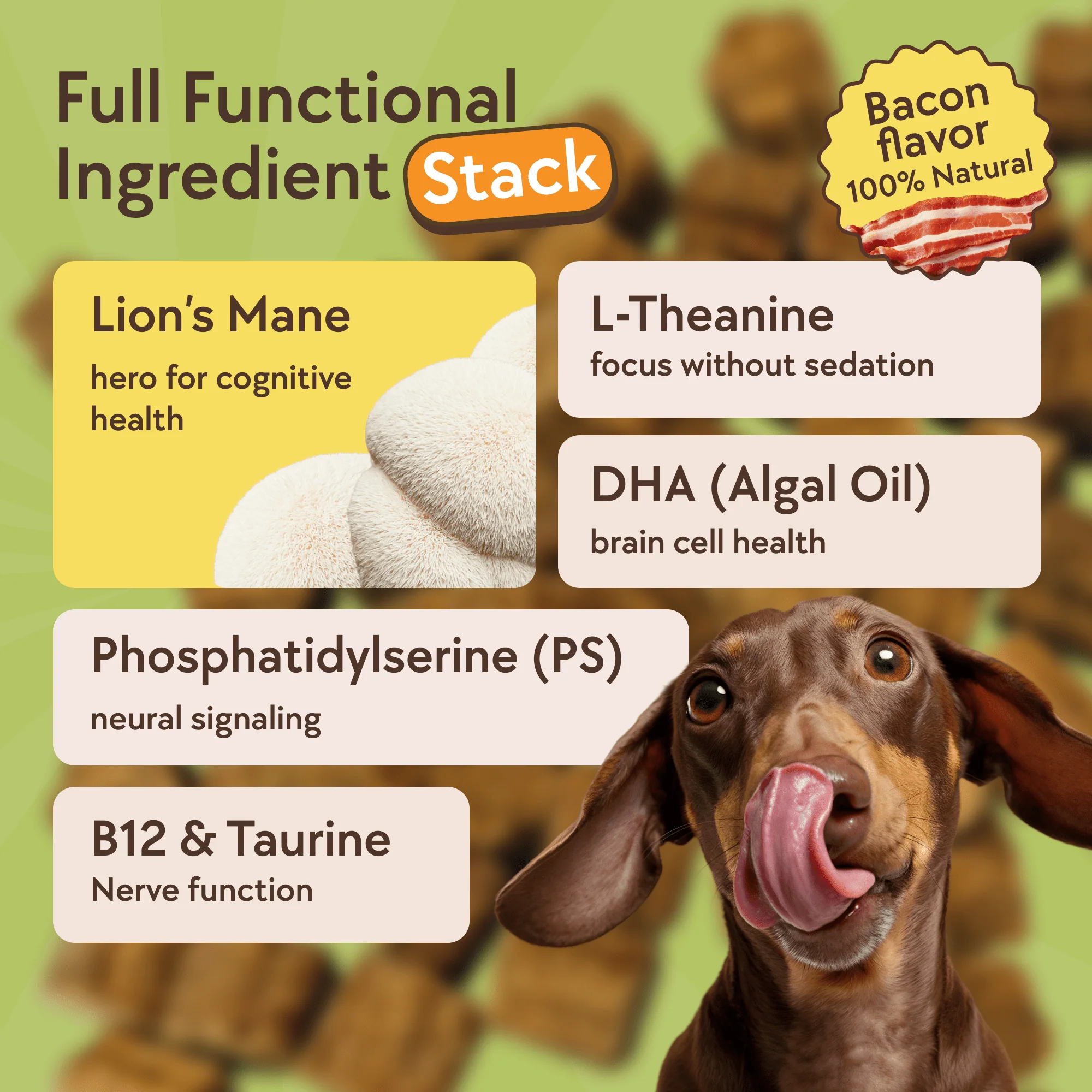 DOGUS Training Treats - Image 6