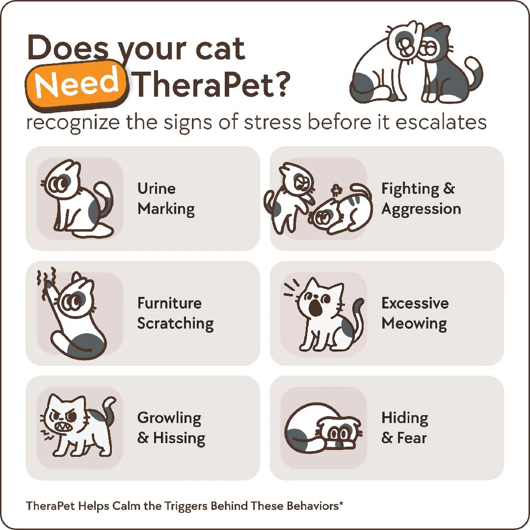 Cats Calming Diffuser Kit - Image 3