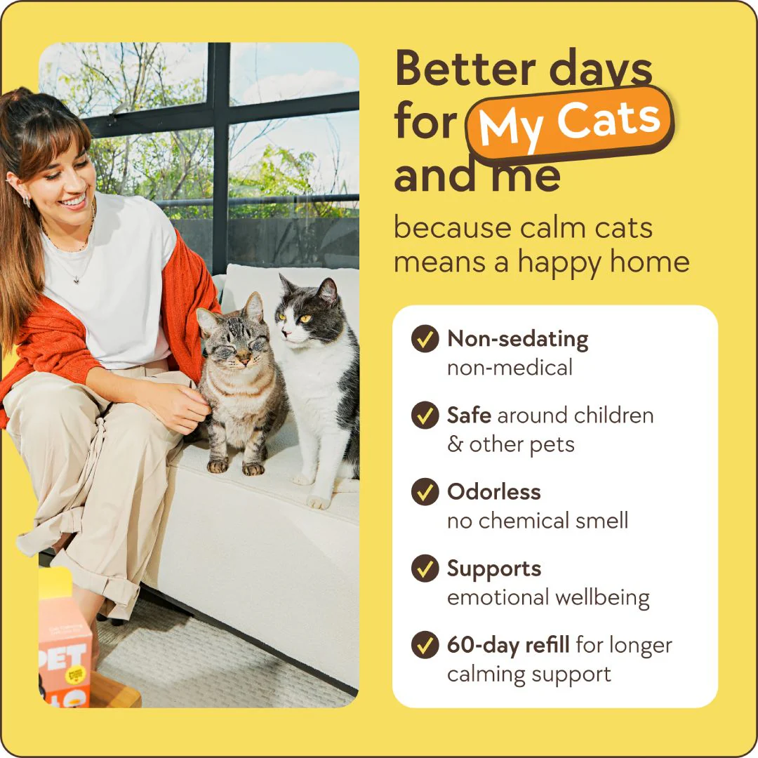 Cats Calming Diffuser Kit - Image 7