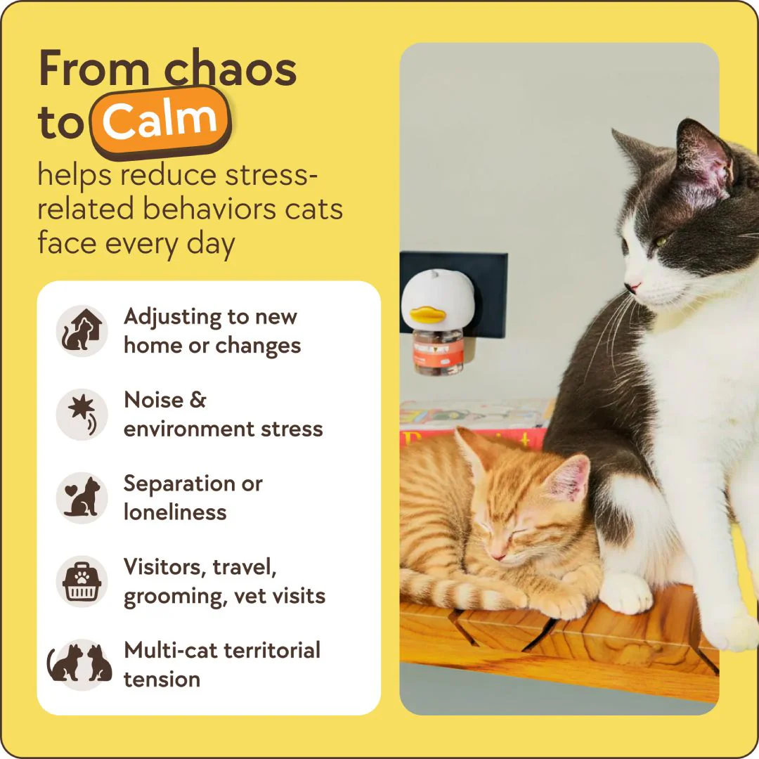 TheraPet Cats Refills - Image 5