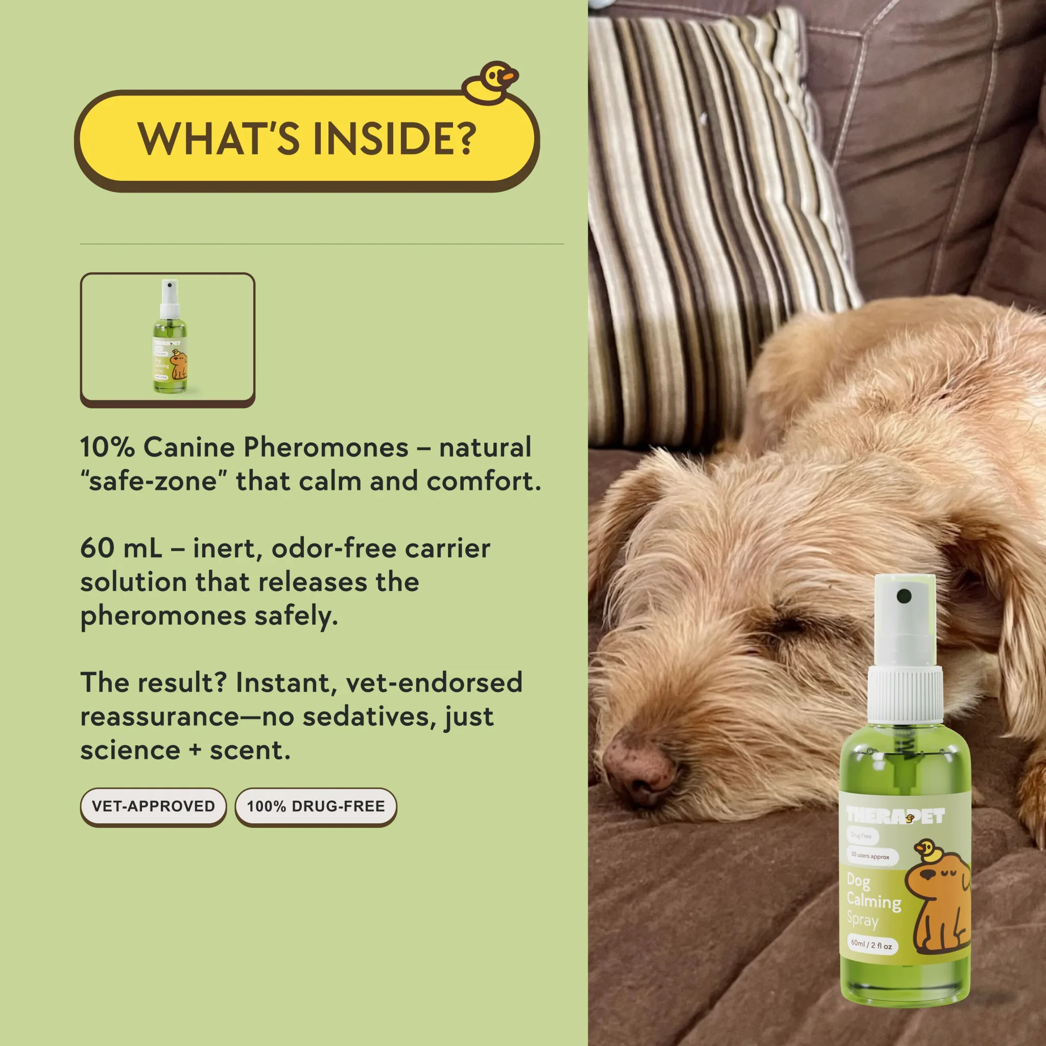 Dog Calming Spray - Image 6