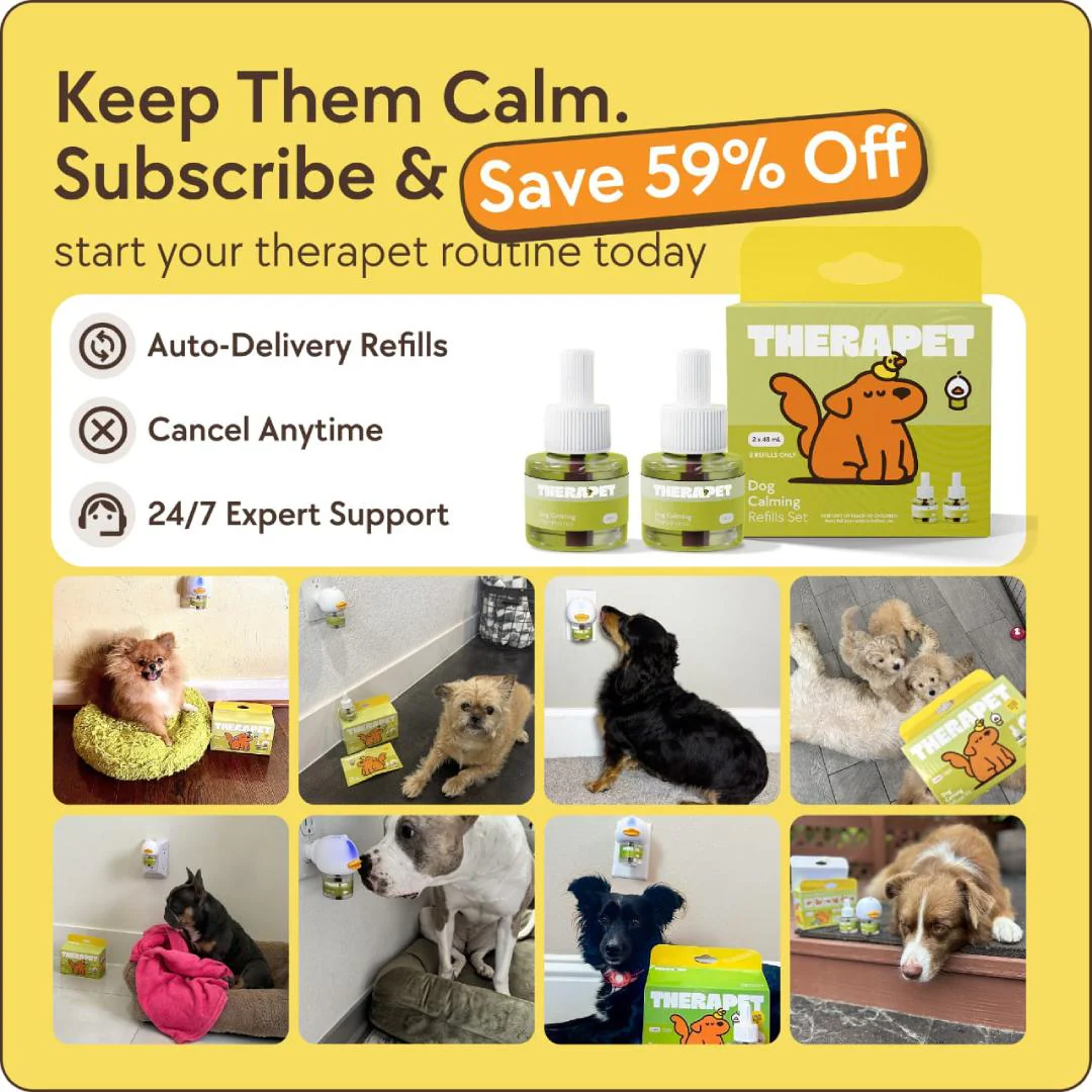 TheraPet Dogs Refills - Image 10
