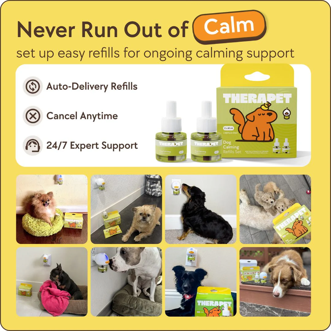 TheraPet Dogs Refills - Image 12