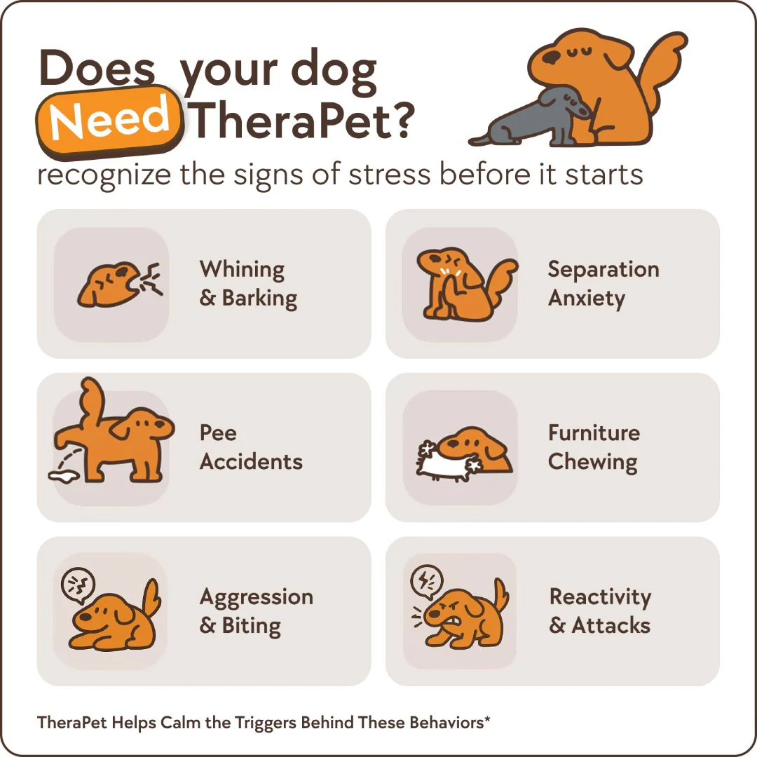 TheraPet Dogs Refills - Image 3